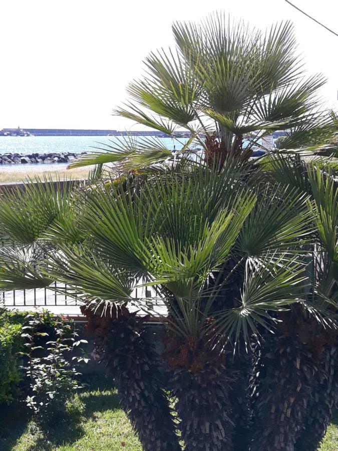 Apartament Al Giardino Sant'Anna Mascali Zewnętrze zdjęcie